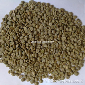 Grains de café verts lavés yunnan arabica de qualité AA